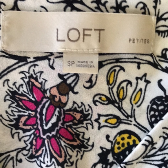 Multi colored shell - Picture 3 of 3